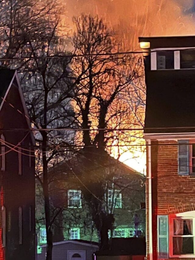 Elusive Leopard’s Tale: Neb Sarai’s Search and Surveillance Efforts and Shattered Silence: Unraveling the DC Area House Explosion